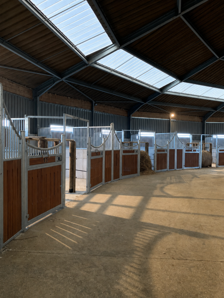 Allée des boxes des Écuries d'Eurofarm à Confrançon avec des boxes spacieux et lumineux pour les chevaux en pension.