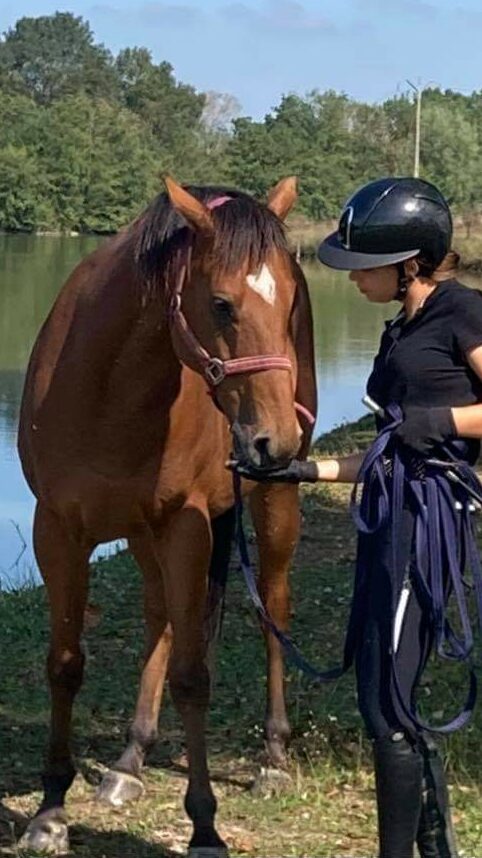 Propriétaire avec son cheval au bord du plan d'eau des Écuries d'Eurofarm à Confrançon, pension cheval dans l'Ain.