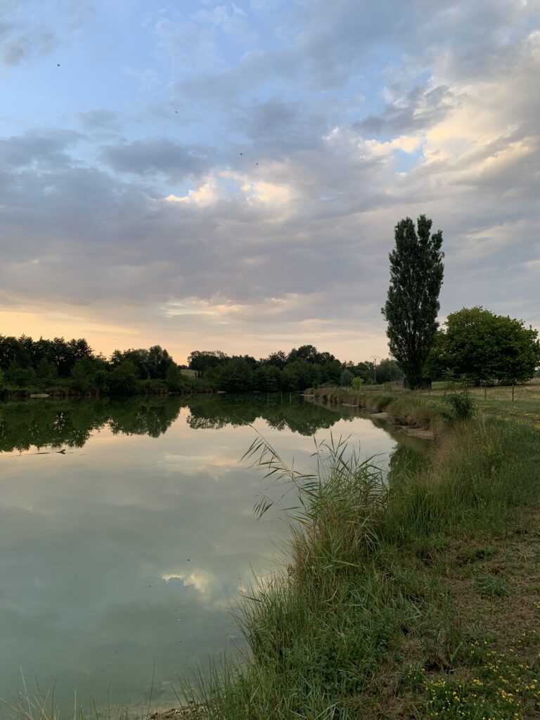 Vue du plan d'eau des Écuries d'Eurofarm à Confrançon dans l'Ain, au cœur d'un environnement calme et verdoyant.