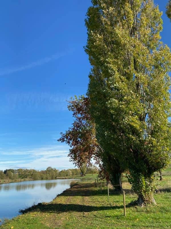 Plan d'eau du domaine des Écuries d'Eurofarm à Confrançon dans l'Ain, bordé d'arbres et de prairies.